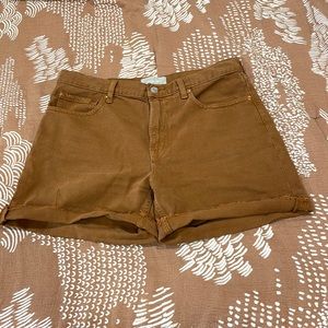 Everlane the denim shorts